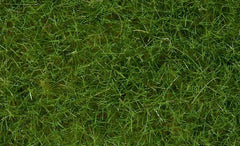 Noch 07102, Wildgras “ hellgrün”, 6 mm, 50 g / -