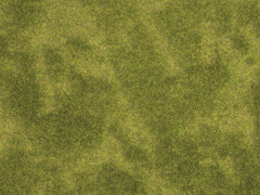 Noch 07471, Natur + "Riedwiese", / -