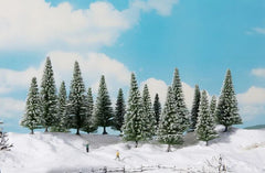 Noch 24680, Schneetannen, / -