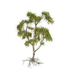 Noch 60760, Vergessener Ort “Brunnen” / H0