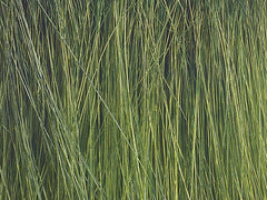 Noch 07060, Schilfgras-Sortiment, grün / beige / braun