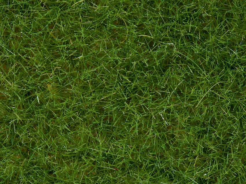 Noch 07092, Wildgras “hellgrün” / 100g