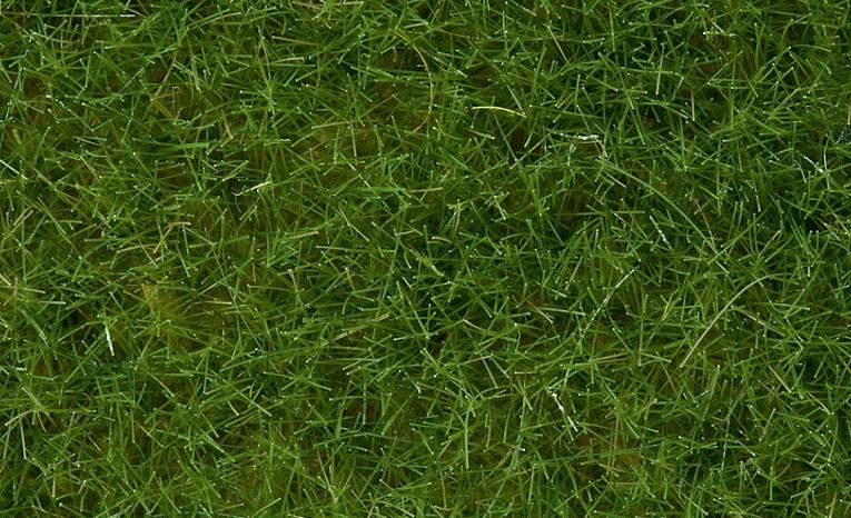 Noch 07102, Wildgras “ hellgrün”, 6 mm, 50 g / -