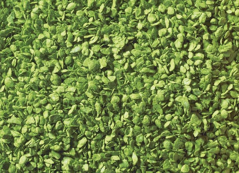 Noch 07142, Laub - hellgrün, 50 g Beutel , / -