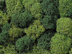 Noch 08610, Dekormoos 35g Beutel, / -