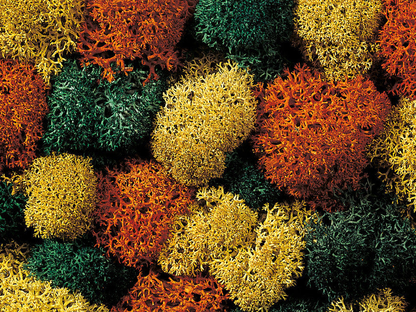 Noch 08620, Dekormoos - herbstlich sortiert, 75 g Beutel, / H0 – TT – N