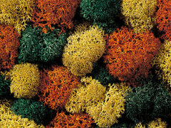 Noch 08630, Dekormoos 35g Beutel, / -