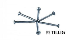 Tillig 08976, MiniHolzschrauben