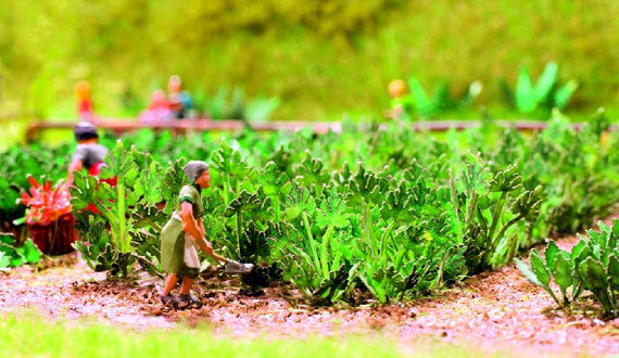 Noch 14112, Zuchini, Lasercut - Minis / H0