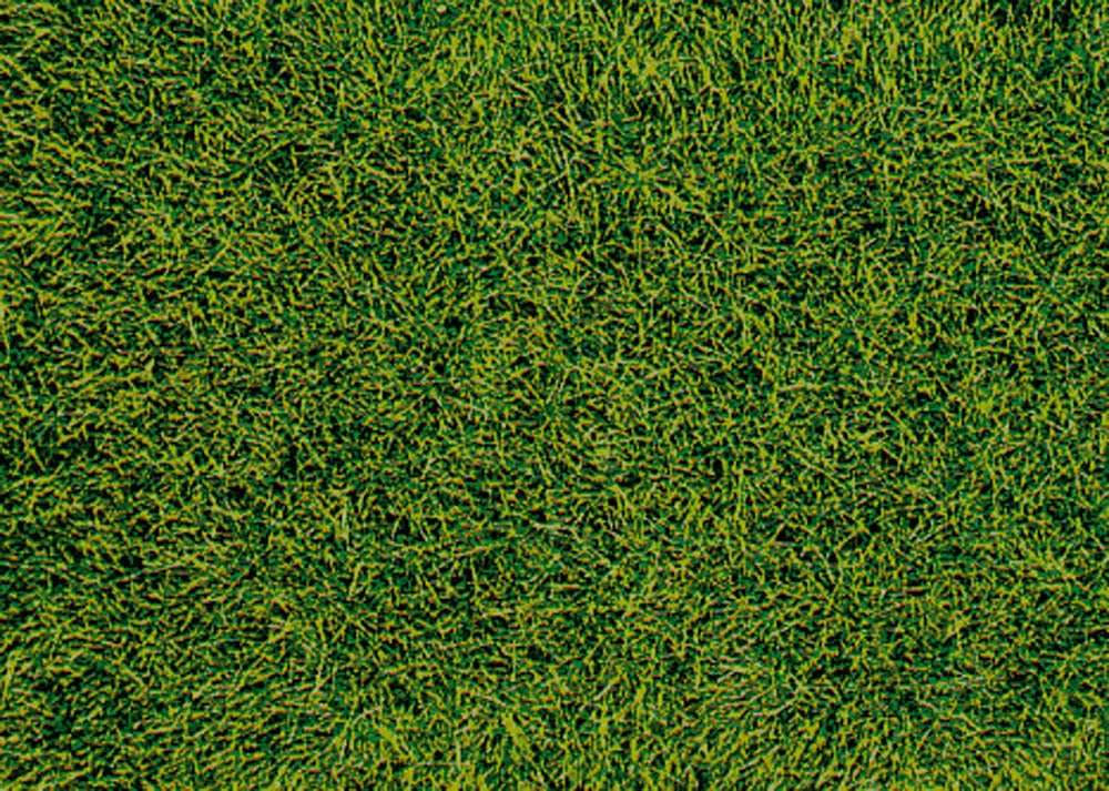 Heki 1573, HEKI decovlies Wildgras, Moorboden 28x14 cm, -