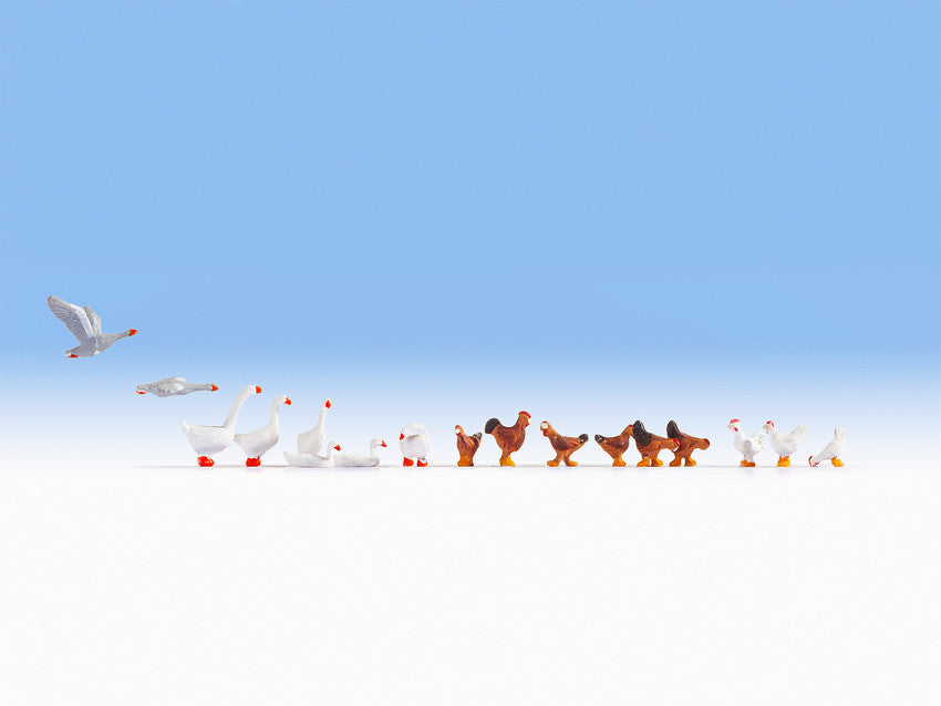 Noch 15772, Hühner und Gänse, / H0