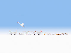 Noch 15774 Schwäne & Enten, Figuren / H0