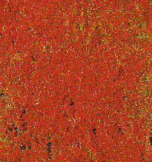 Heki 1588, decovlies Blumendecor rot 28x14 cm, -