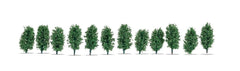 Noch 21547, Thuja-Hecke / H0 - TT - N