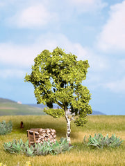 Noch 21640, Birke, / H0 – TT - N