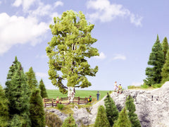 Noch 21641, Doppelstämmige Birke, / H0