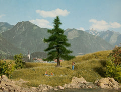 Noch 21810, Nordmanntanne, / H0 – TT - N