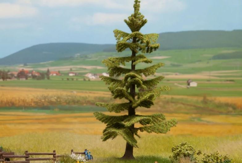 Noch 21833, Fichte, / -