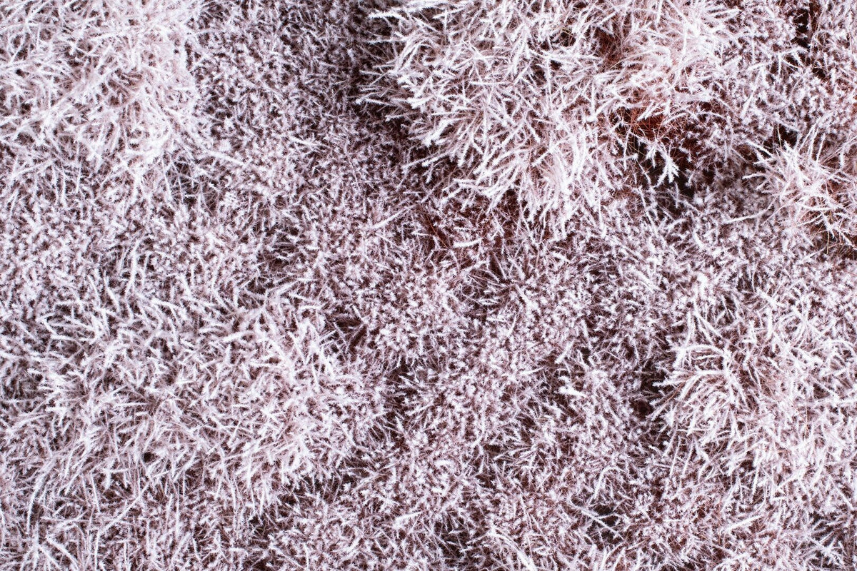 Auhagen 70903, Büsche/Sträucher im Schnee 4-30 mm / H0-TT-N