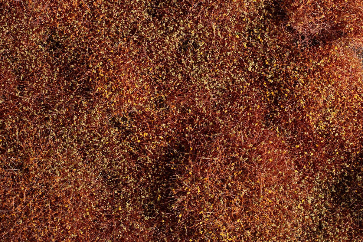 Auhagen 70904, Büsche/Sträucher Winter 4-30 mm / H0-TT-N