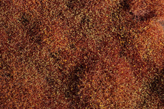 Auhagen 70904, Büsche/Sträucher Winter 4-30 mm / H0-TT-N