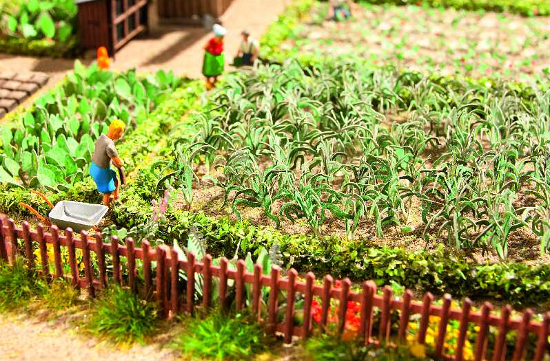 NOCH 14134 Lauch – 20 Pflanzen, Laser-Cut minis, Spur H0