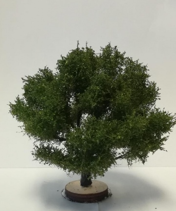 FREON DO1 Handmade Olivenbaum 6–8 cm H0