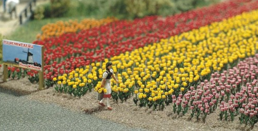 BUSCH 1206 Tulpen – 120 Blumen in fünf Farben, Spur H0, 1:87