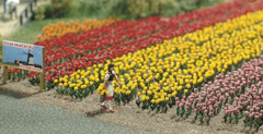 BUSCH 1206 Tulpen – 120 Blumen in fünf Farben, Spur H0, 1:87